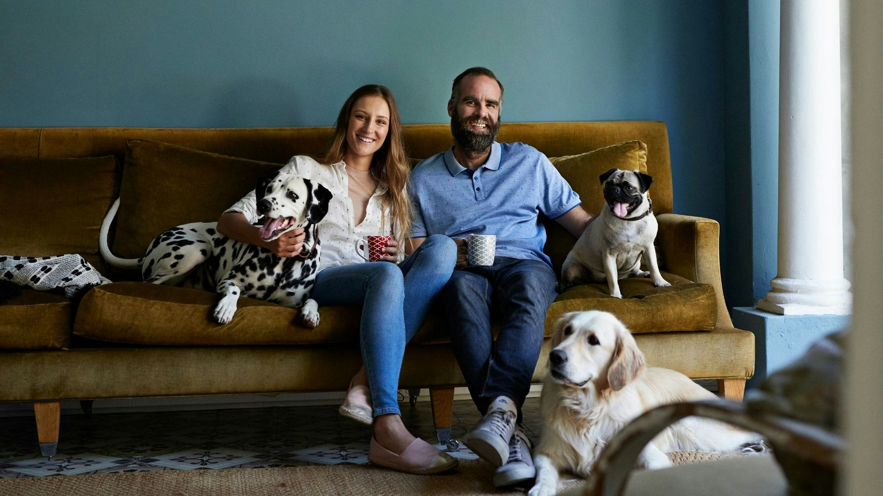 The best gifts for dog lovers 2024 tried and tested