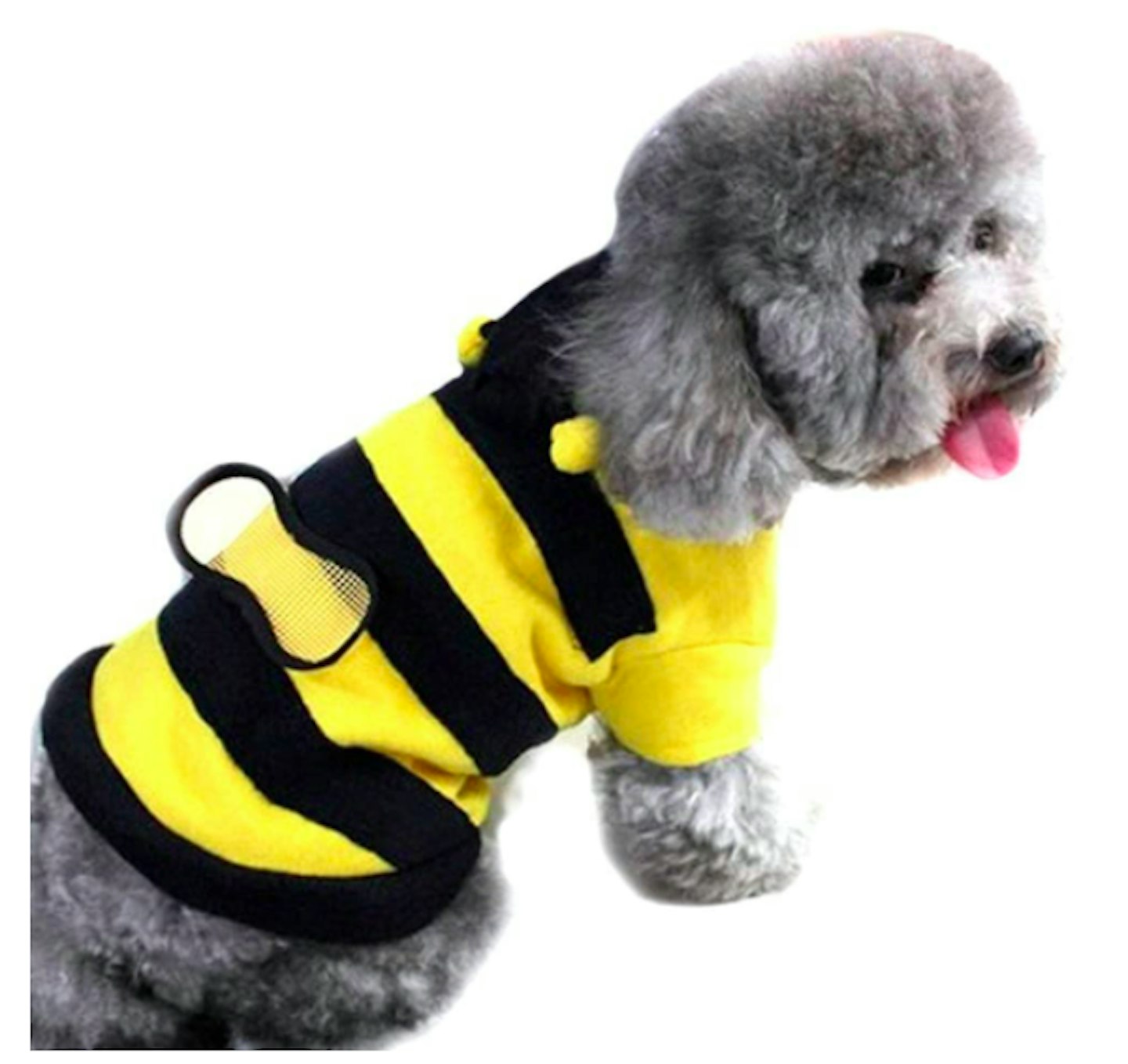 Dog bumblebee outfit