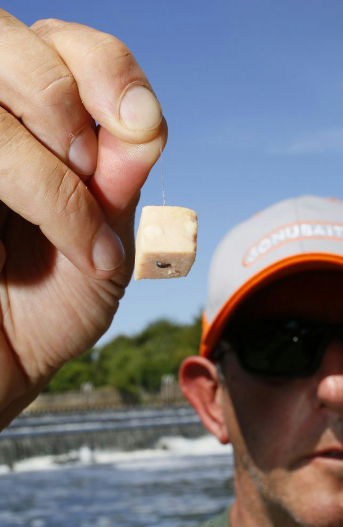 If small fish are a problem, switch to banded pellets or small cubes of meat