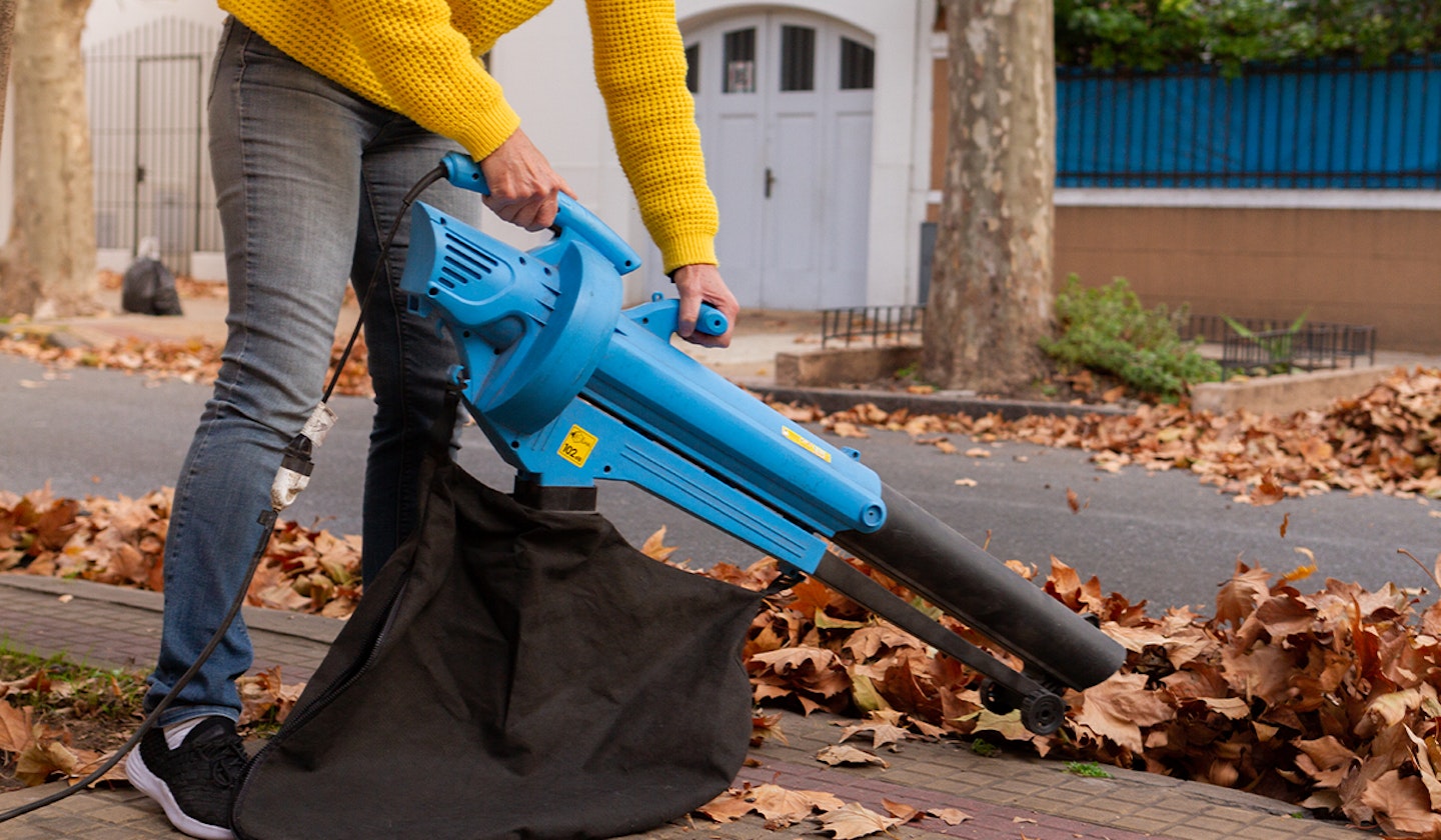 Using a garden vacuum in the autumn