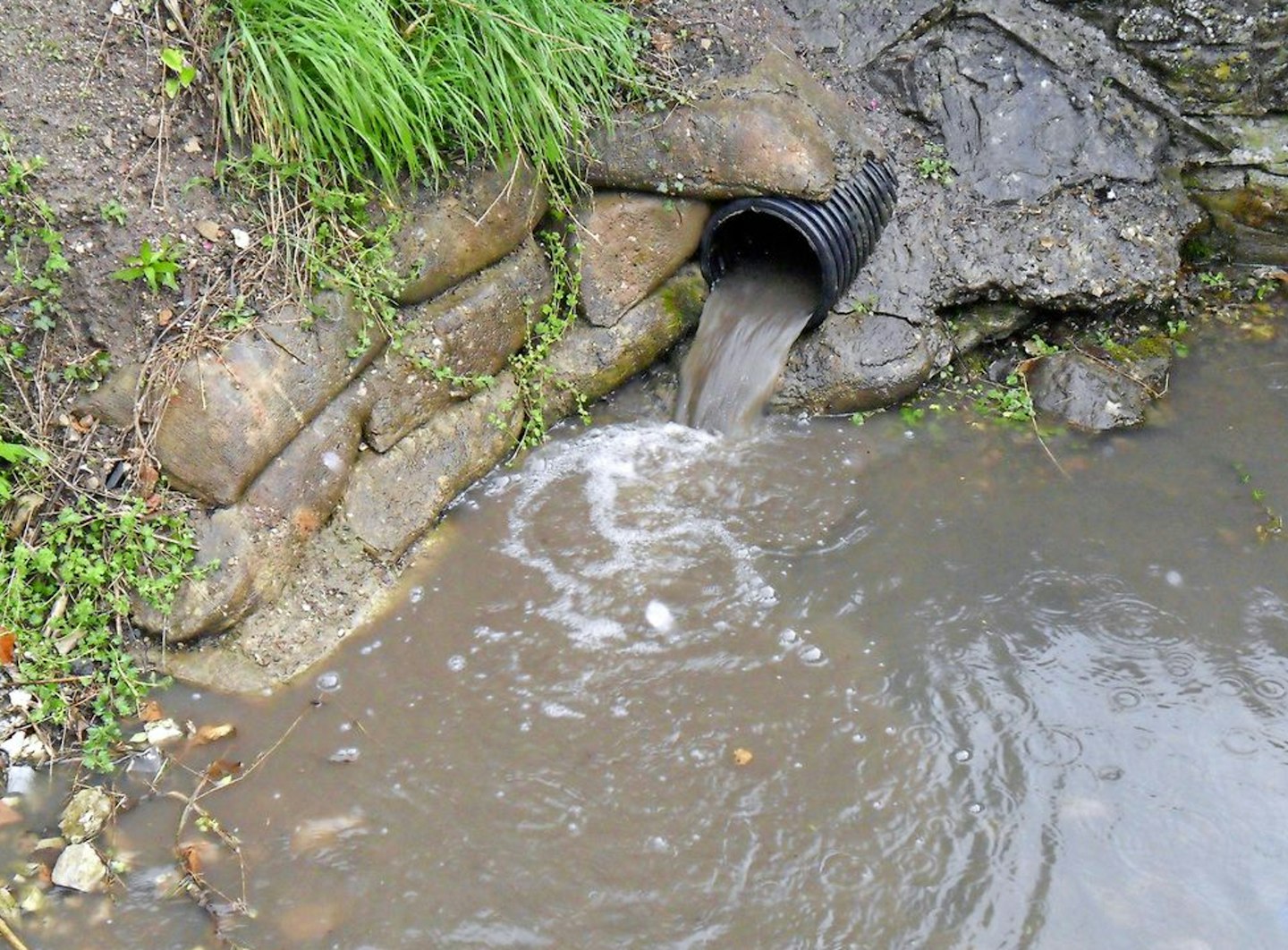 “The crisis our waterways face is still not being taken seriously enough by the Government”
