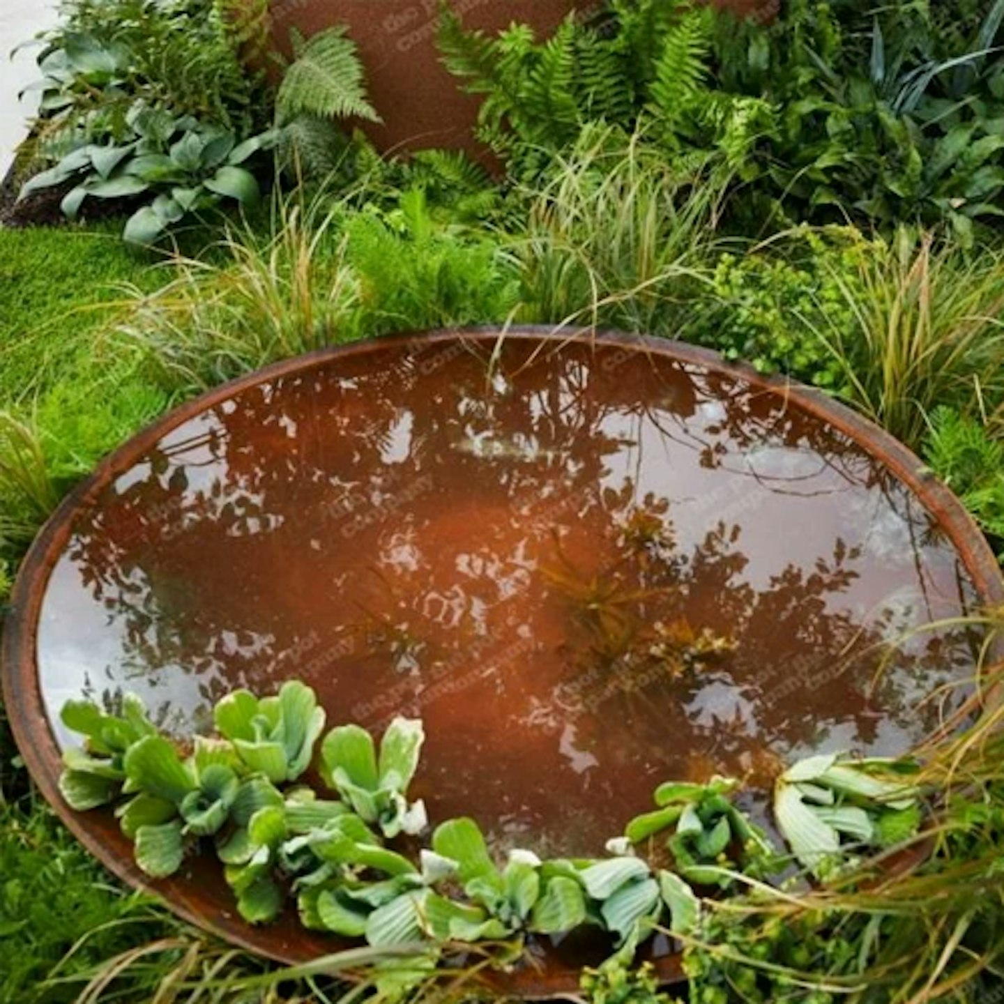 Corten Steel Modern Garden Water Bowl