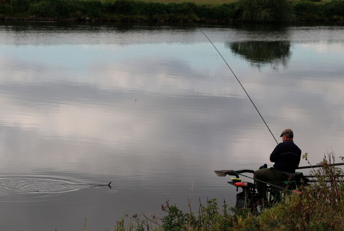 "Alternating between long pole and stick float over loosefed hemp and caster, I caught some good roach"