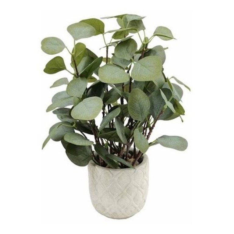 Mrs Hinch x Tesco Collection Home Whats The Best