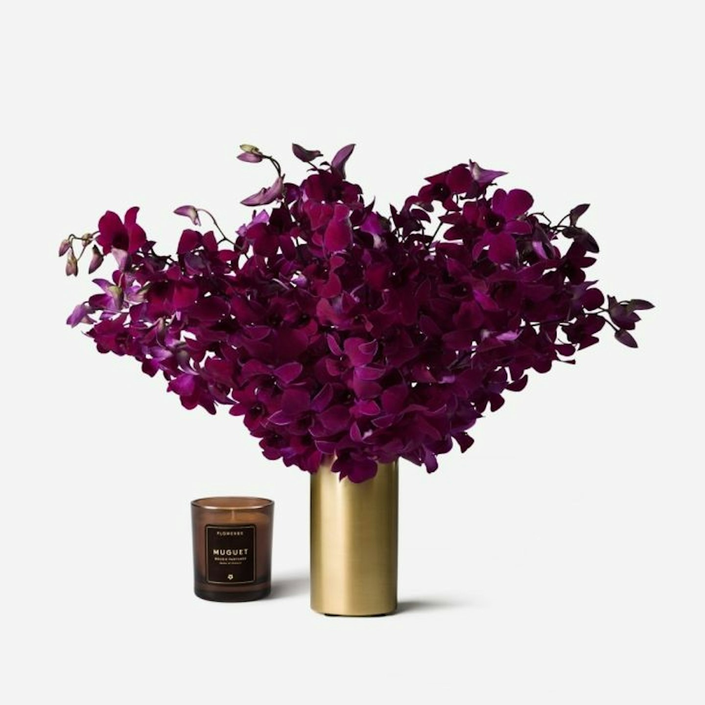 Flowerbx Cabernet Dendrobium Cut Orchid