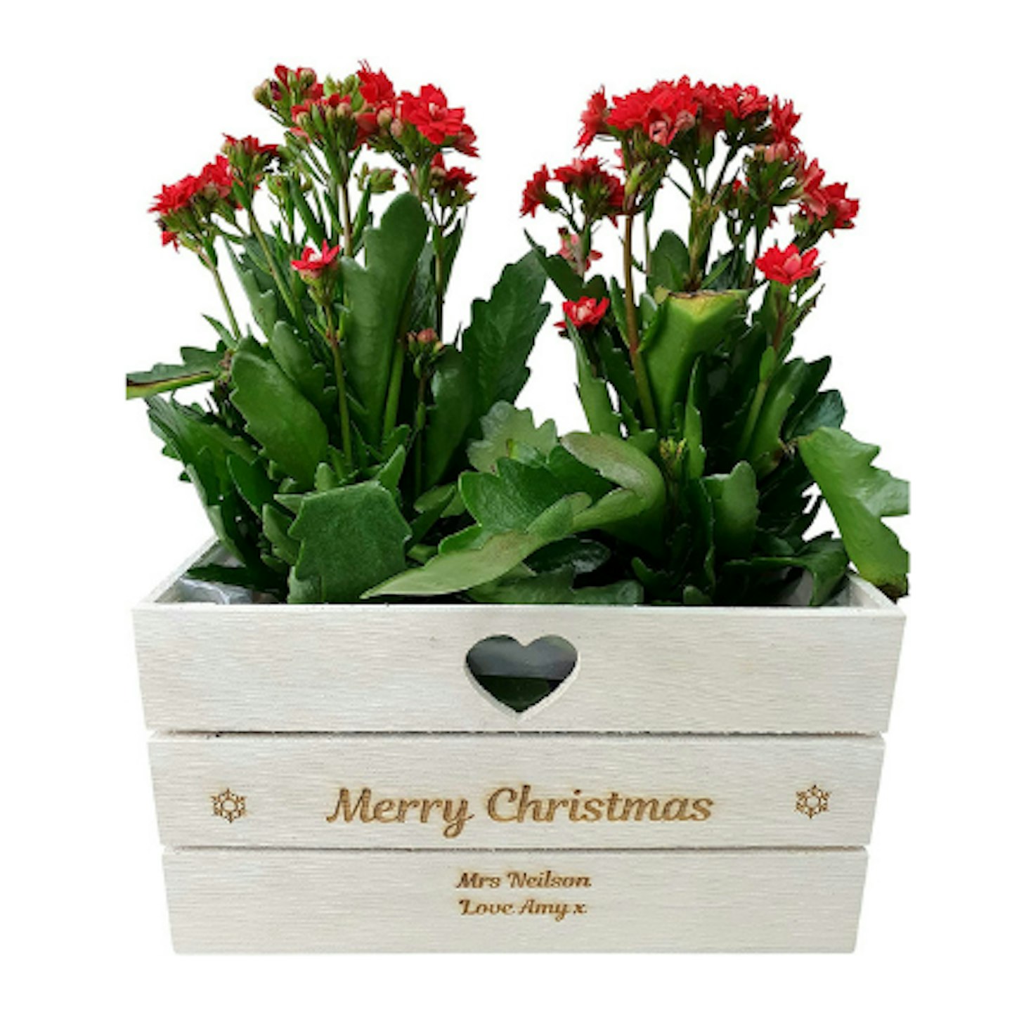 Personalised Engraved Christmas Planter Plant Pot