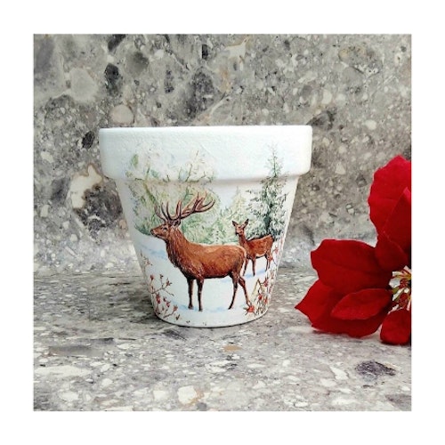 Decorate your home with the best Christmas plant pots Closer