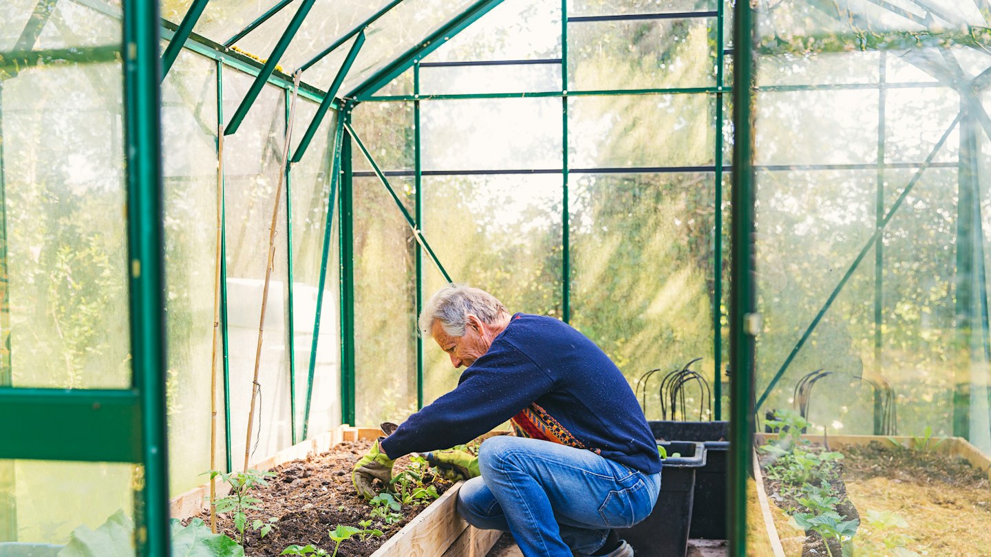 Garden Rigs Best greenhouses UK to help your plants thrive 2024