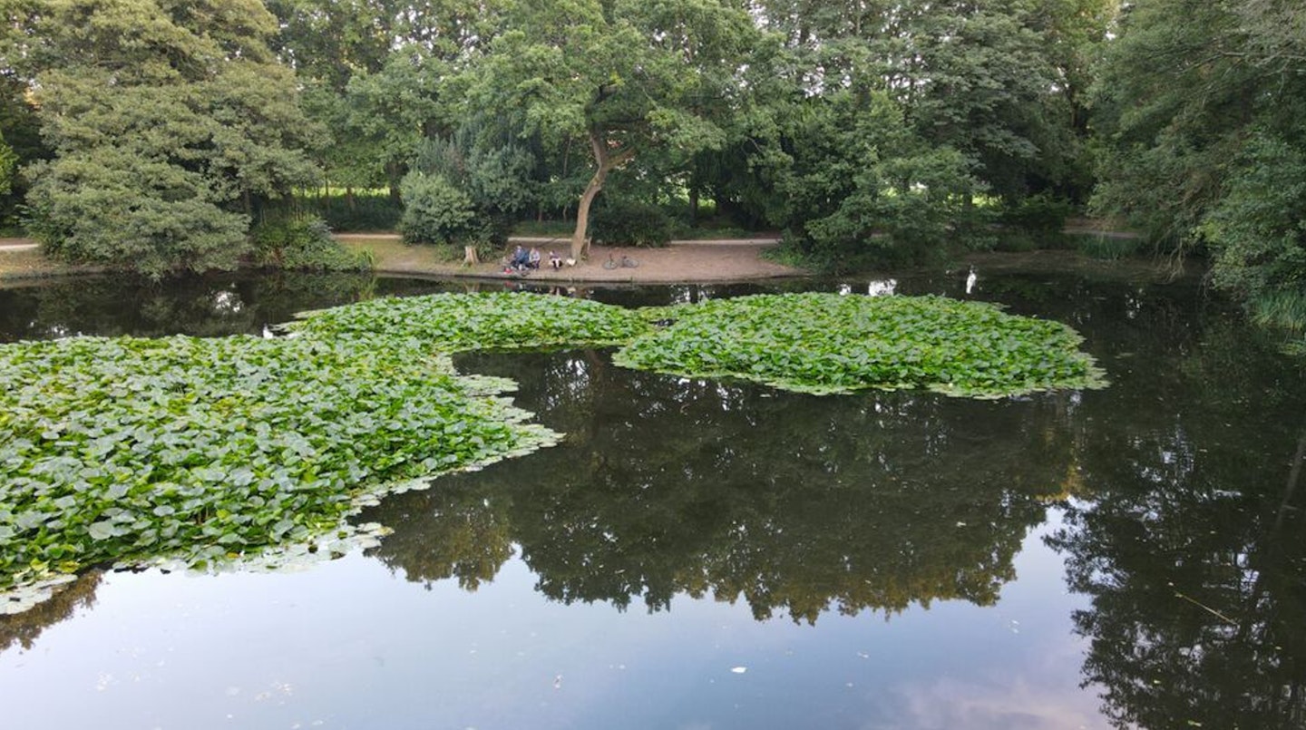 South Ribble Community AC provides  accessible angling for youngsters and those who need it most