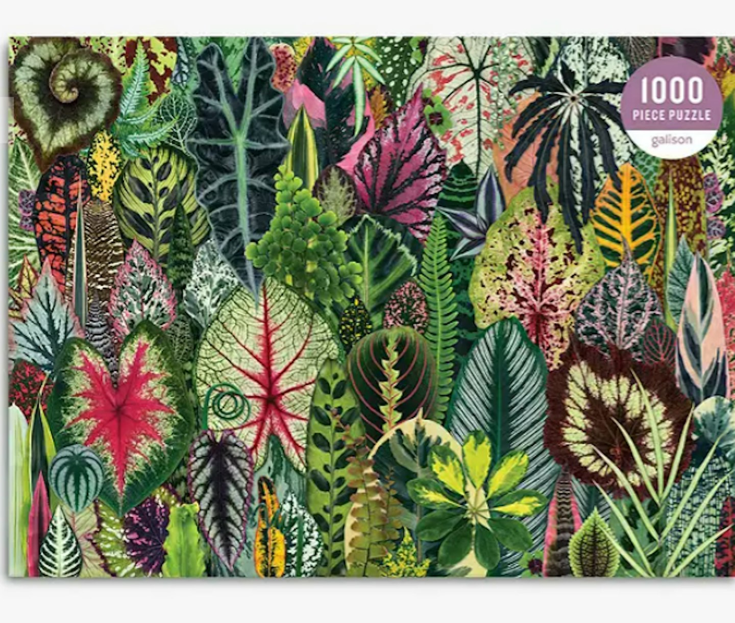 Galison Houseplant Jungle Jigsaw Puzzle, 1000 Pieces
