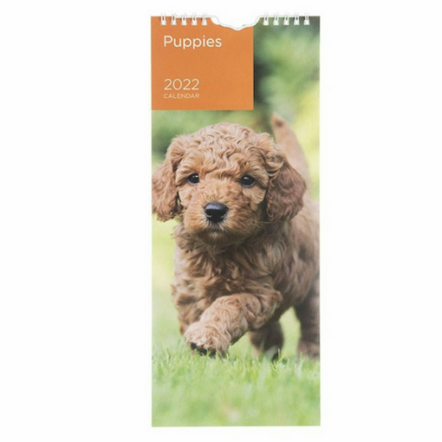 WHSmith 2022 Puppies Mini Slim Calendar