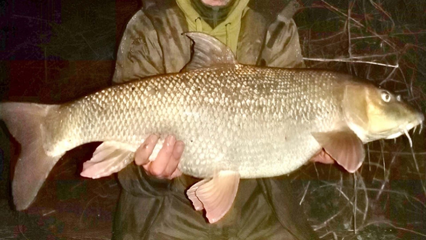 Angler catches his second 18lb-plus barbel of the season...from two different rivers!