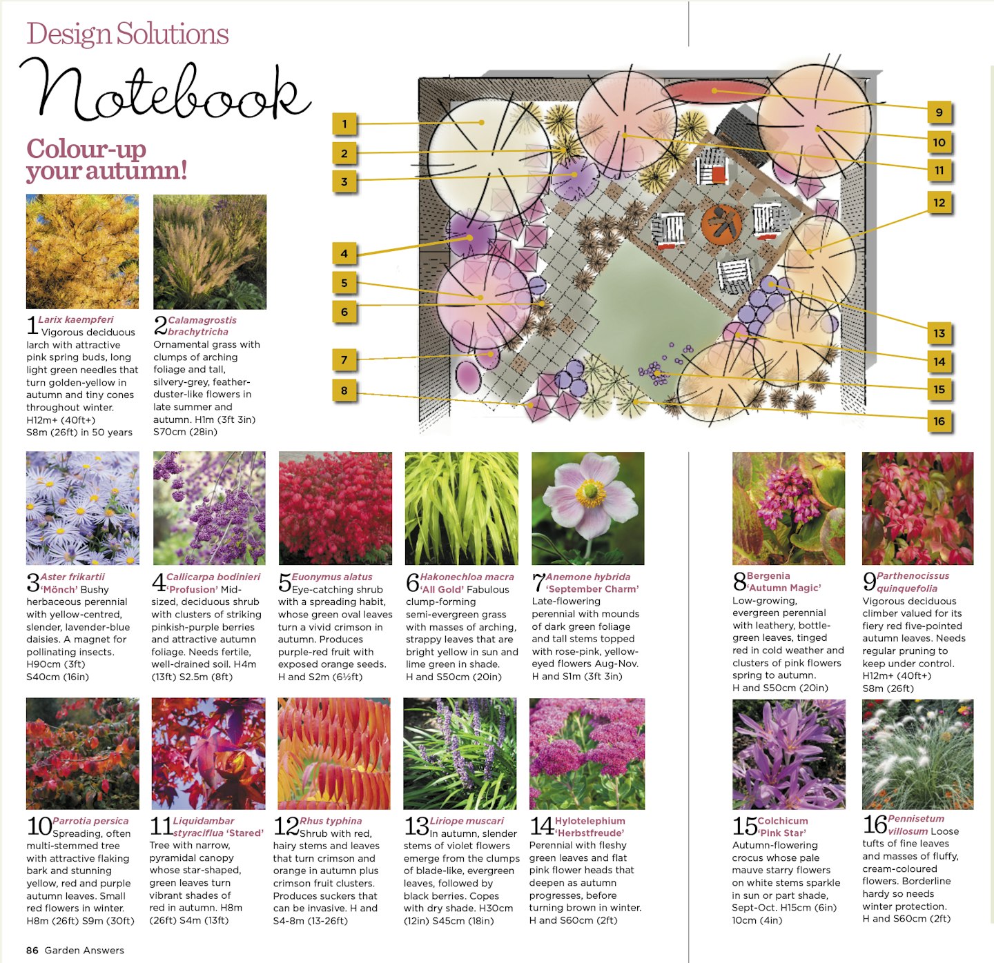 Planting Plan for Autumn wow garden