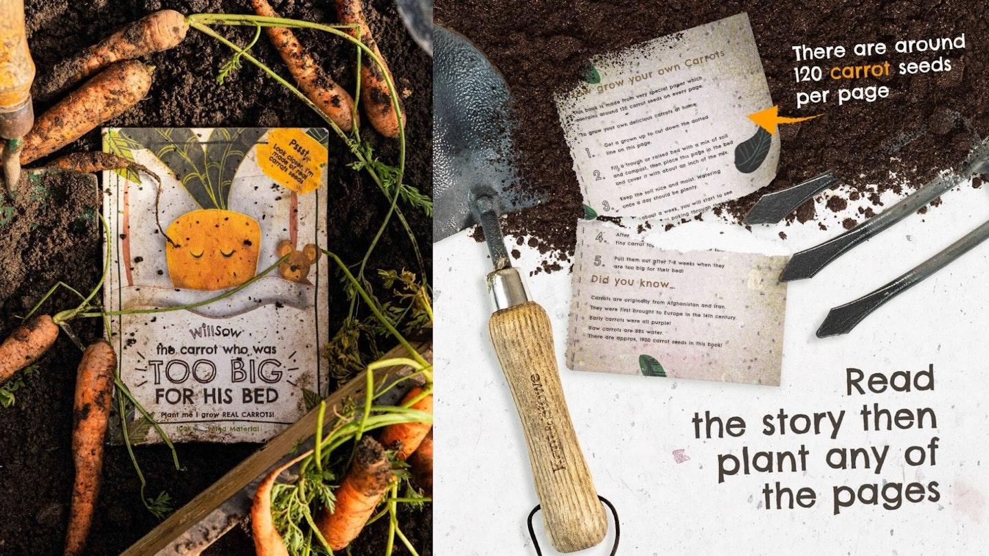 Plantable Carrot Children's Story Book