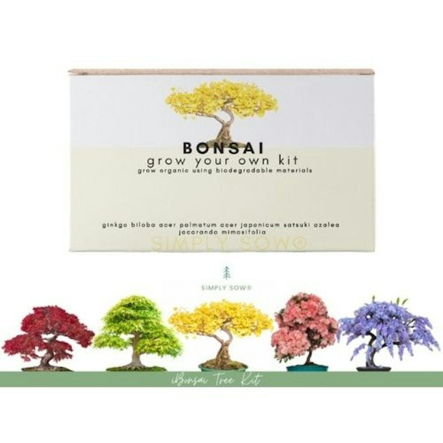 Grow Your Own Bonsai Kit