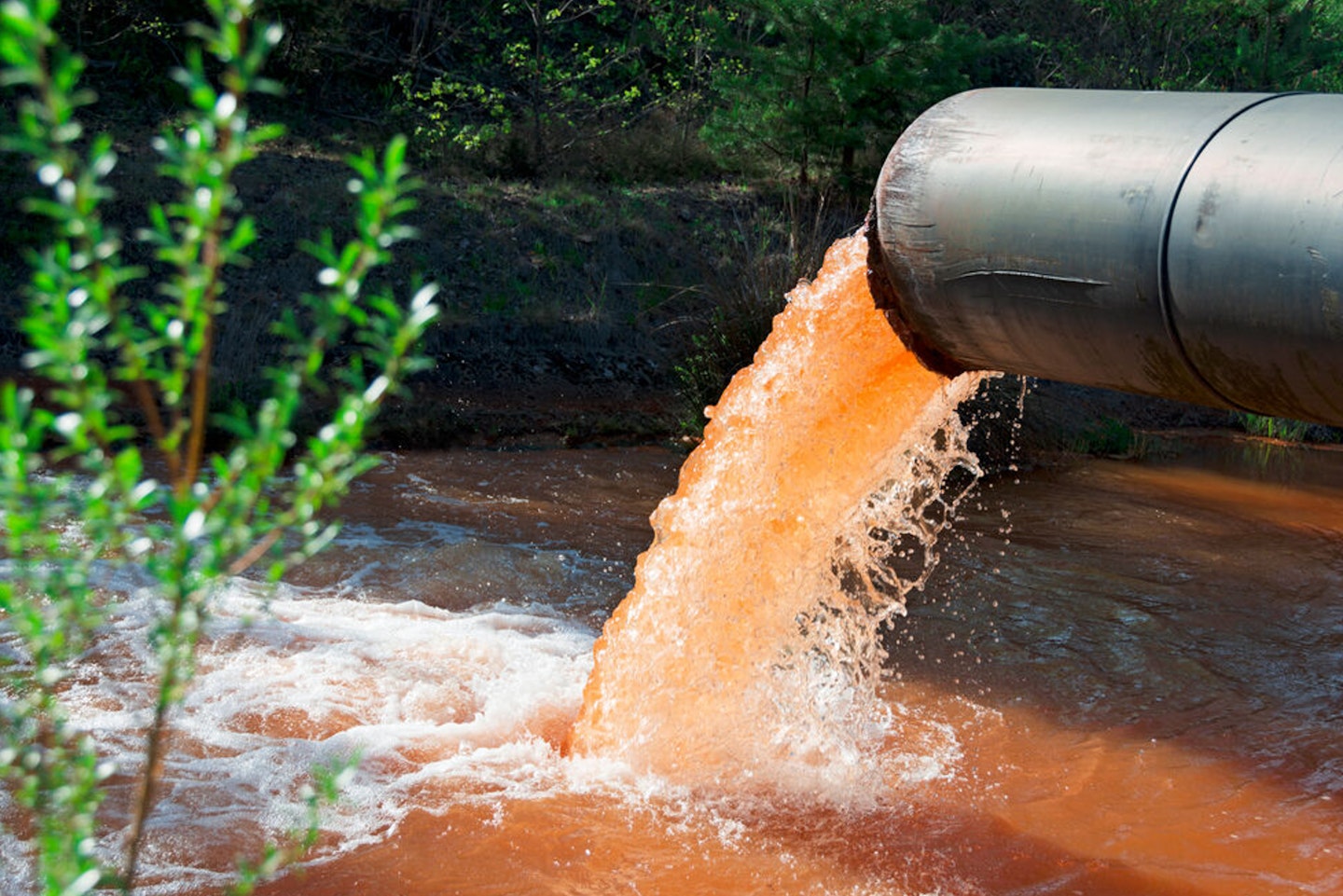 The RPS allows them to discharge effluent without meeting the conditions of their permits
