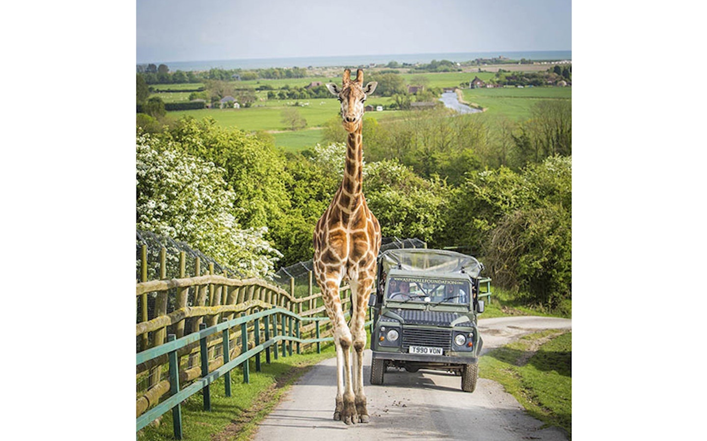 Port Lympne Hotel & Reserve, Kent 