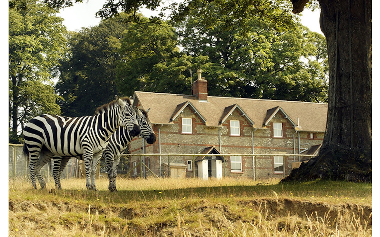 Longleat 