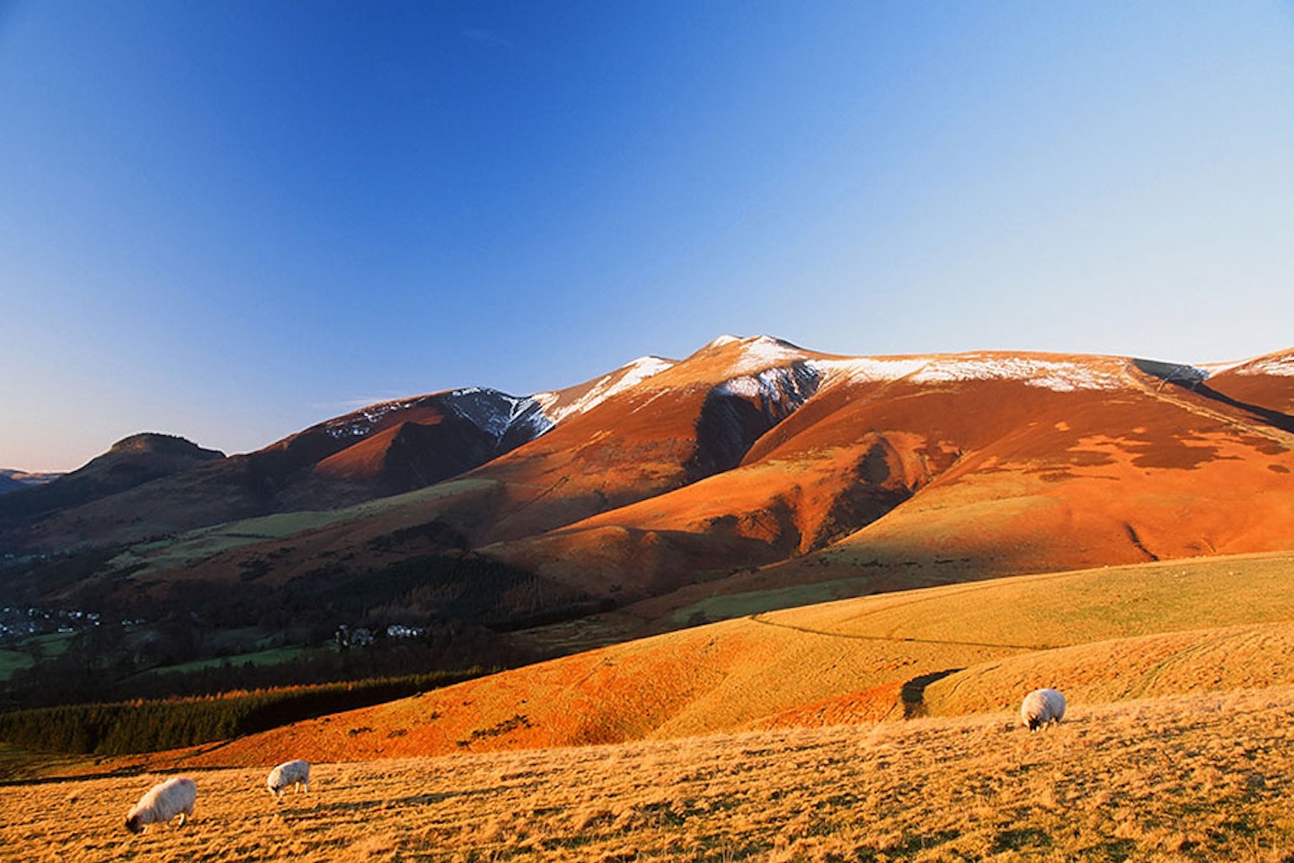 The mighty Skiddaw bathed in autumnal colours.