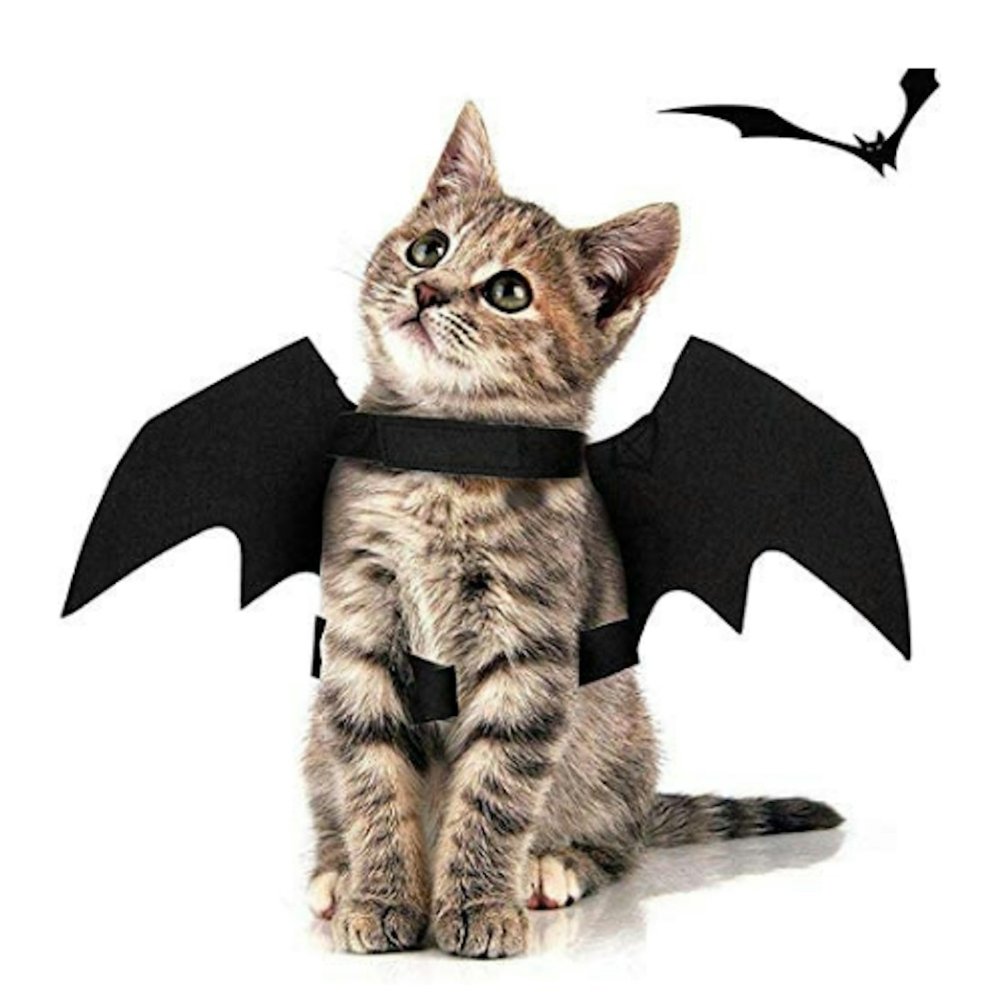 Rorchio 3 Pack Halloween Pet Bat Wings