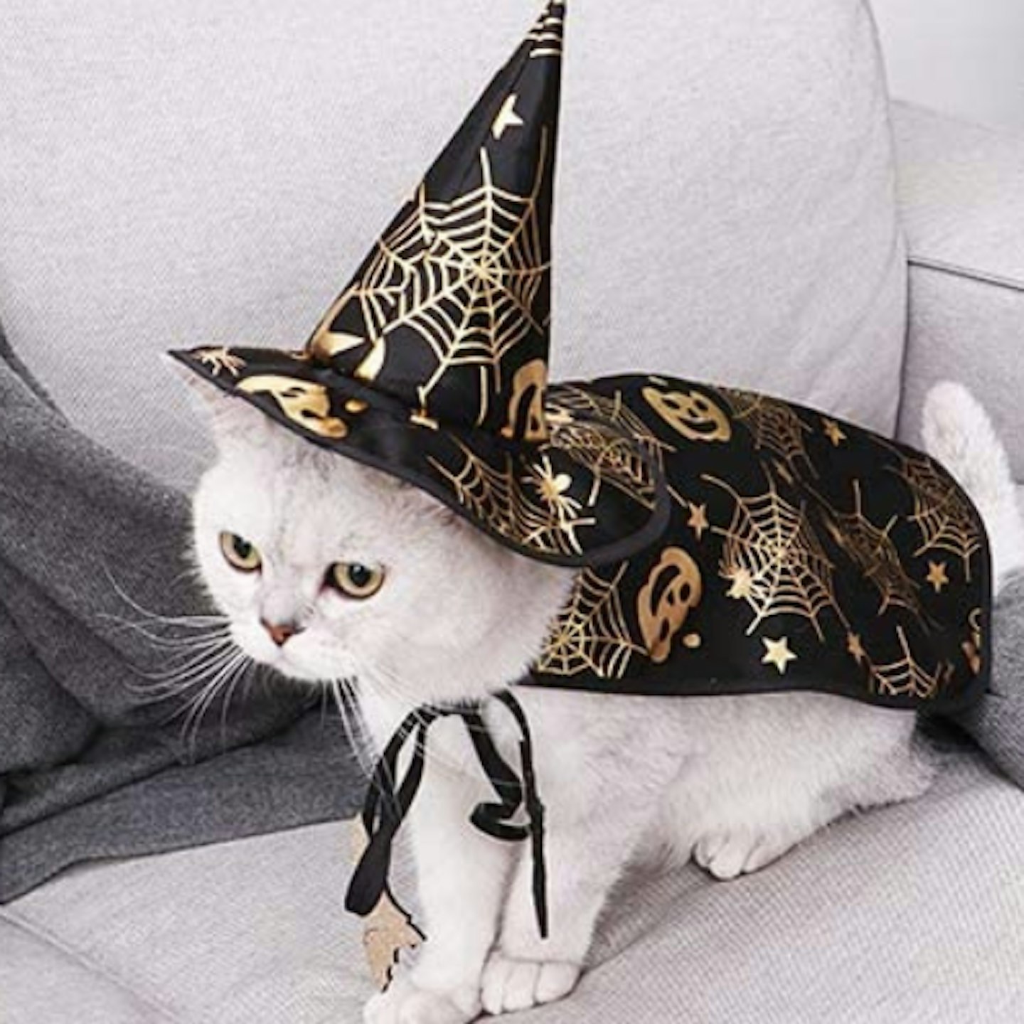 POPETPOP Pet Halloween Costumes Cape with Wizard Hat