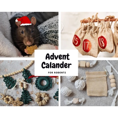 Rodent Advent Calendar (Pre-Order)