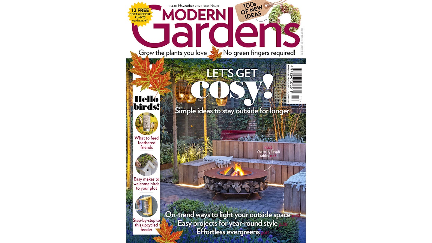 November issue of Modern Gardens magazine