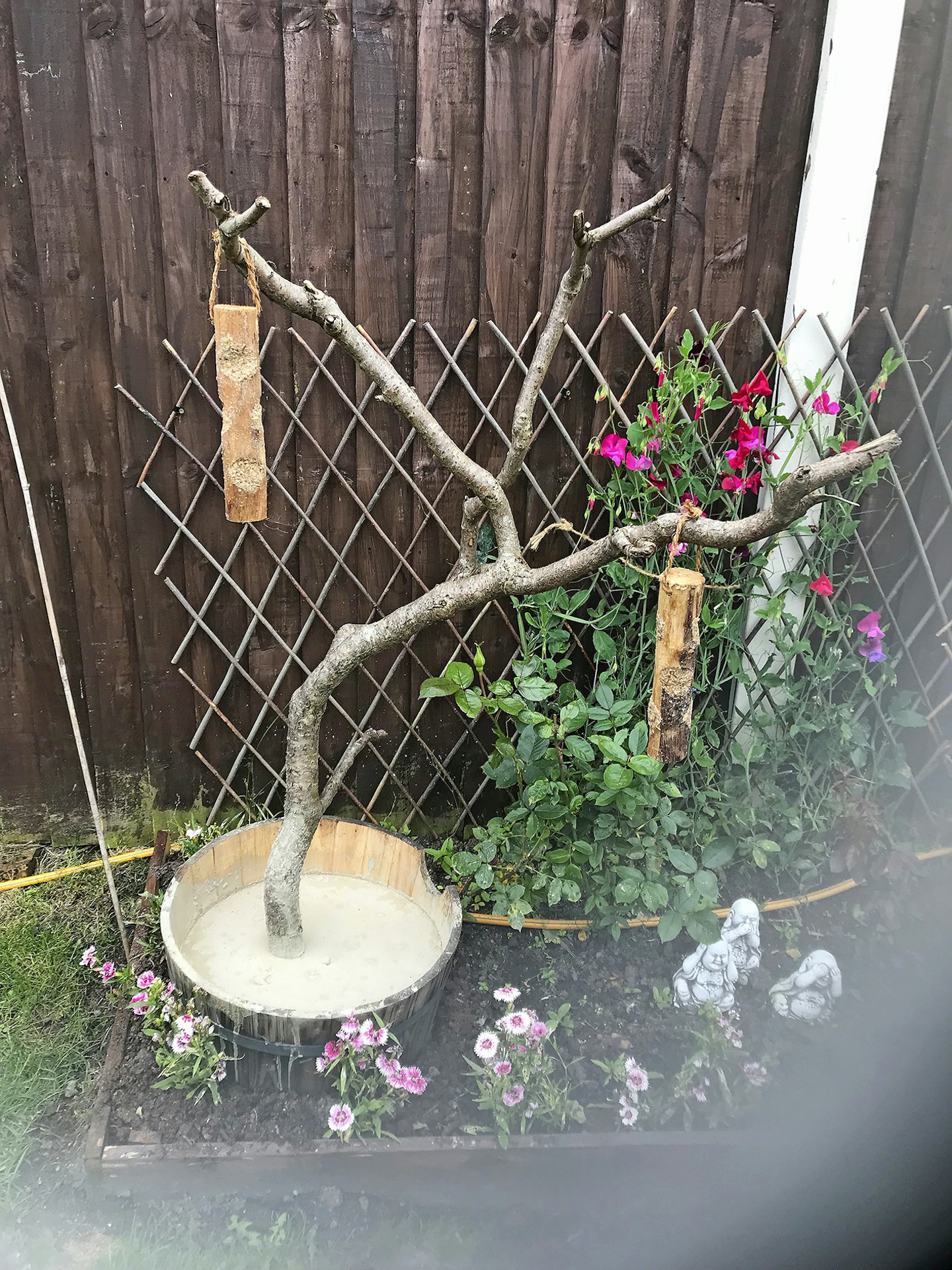 Branch craft project