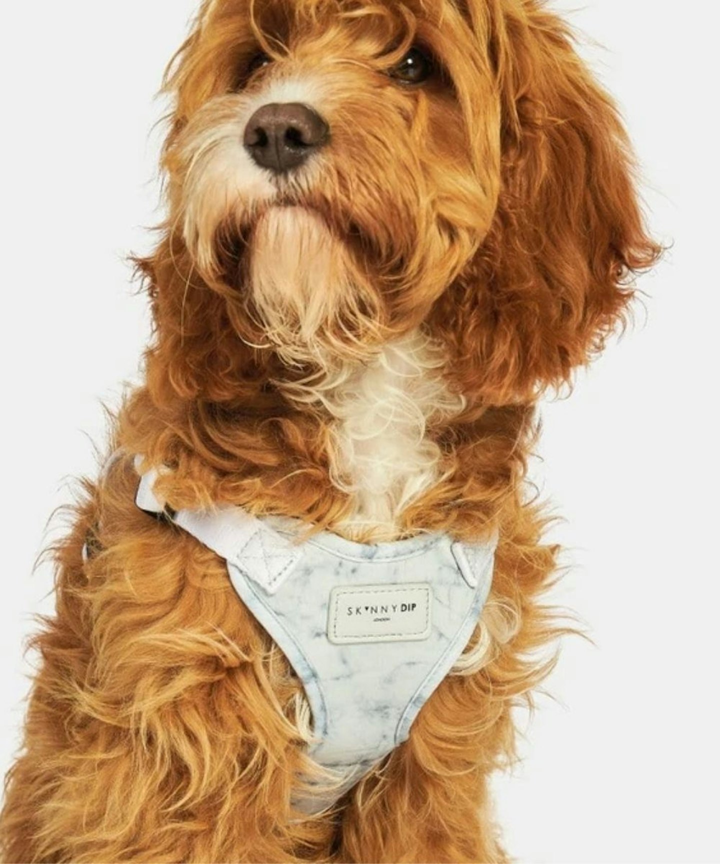 Marble Printed Pet Harness