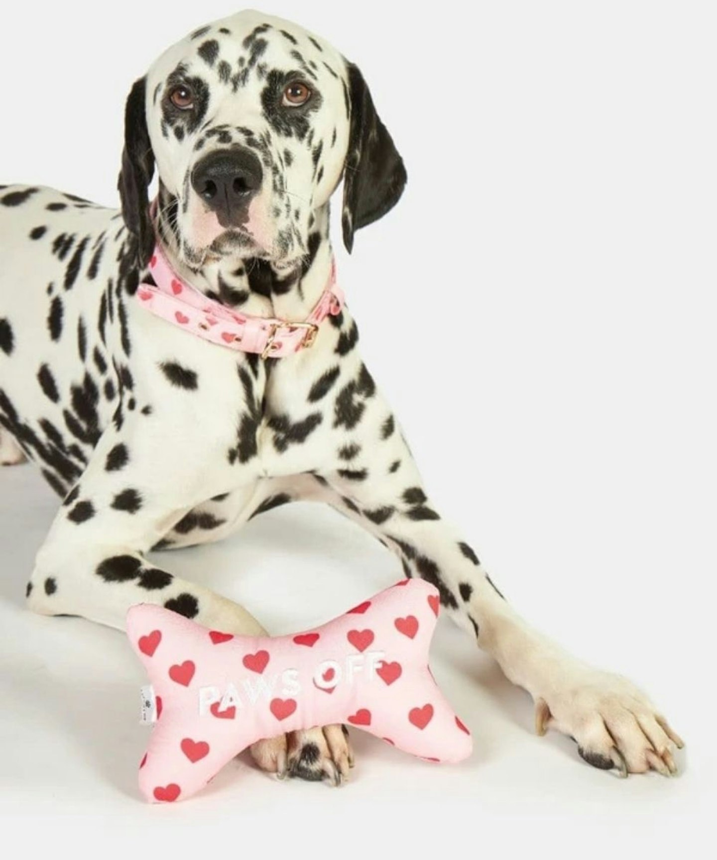 Paws Off Love Heart Plushy Dog Toy