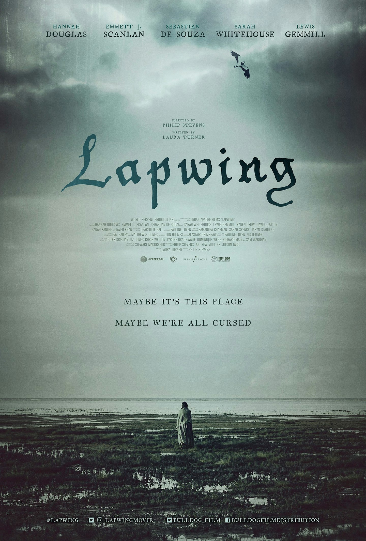Lapwing Poster