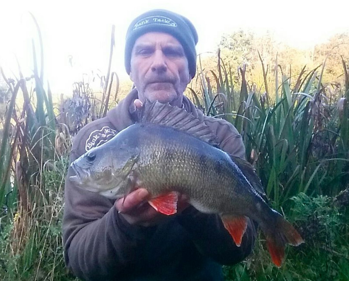 Paul Bailey 4lb 12oz perch