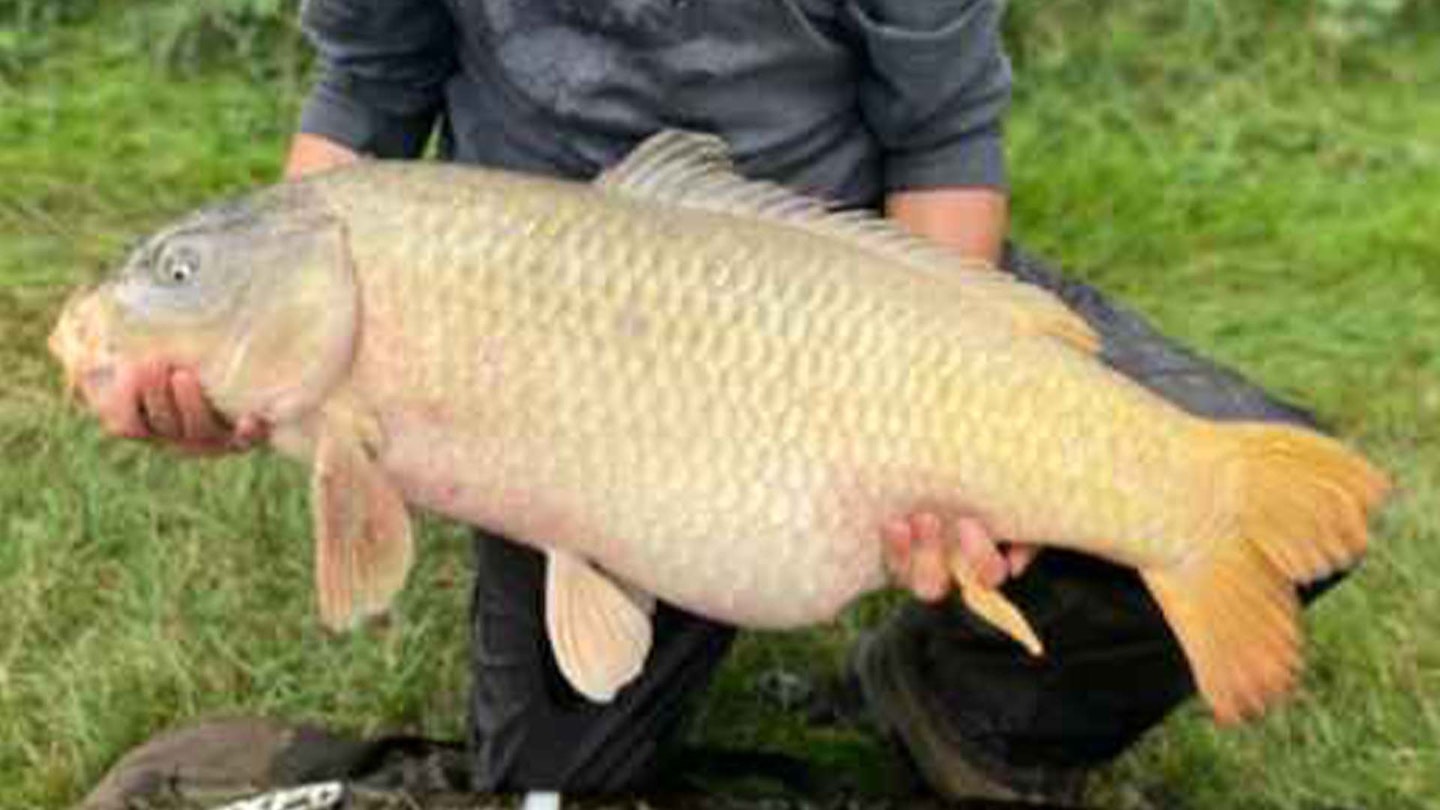 40lb carp is UK's biggest-ever on the pole