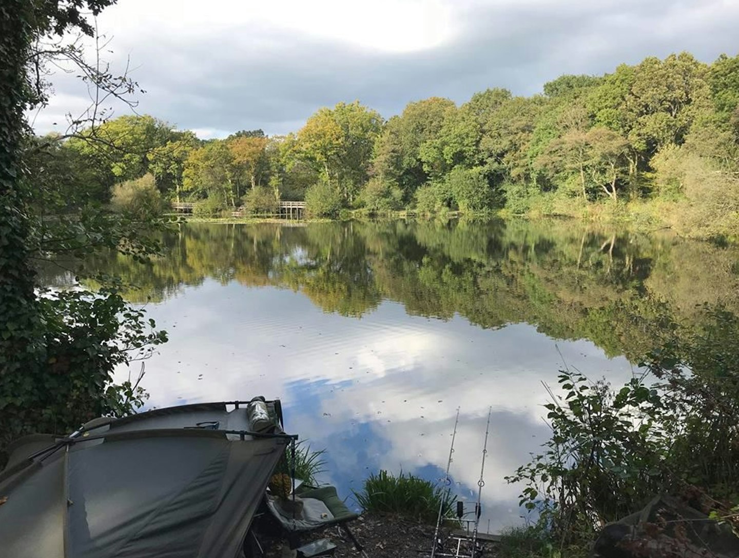 Abbrook Pond, Newton Abbot, Devon