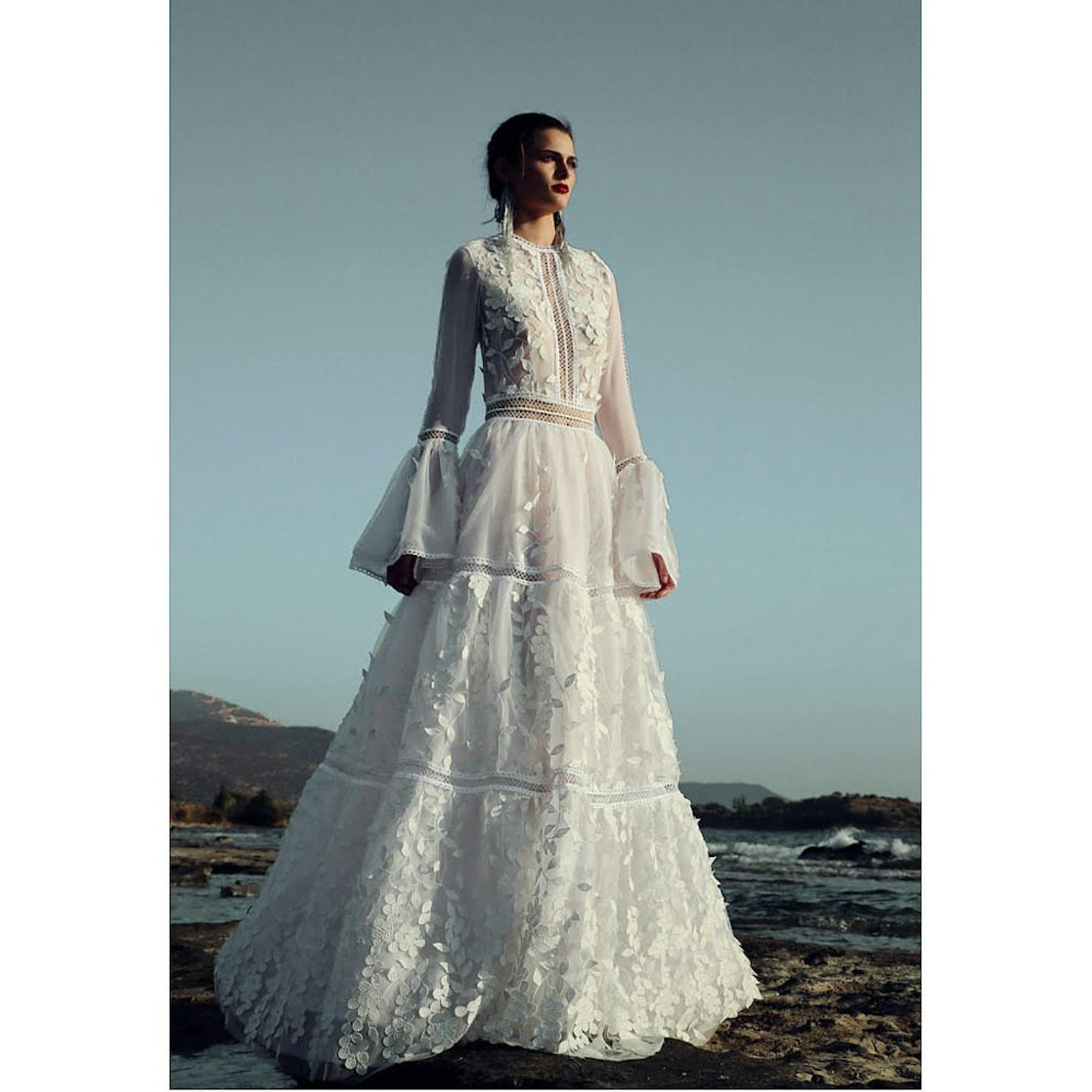 Costarellos, Appliquu00e9d Embroidered Tulle Gown, From £45