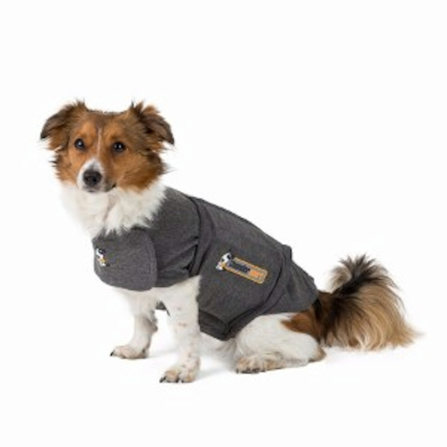 Thundershirt The Best Solution For Dog Anxiety