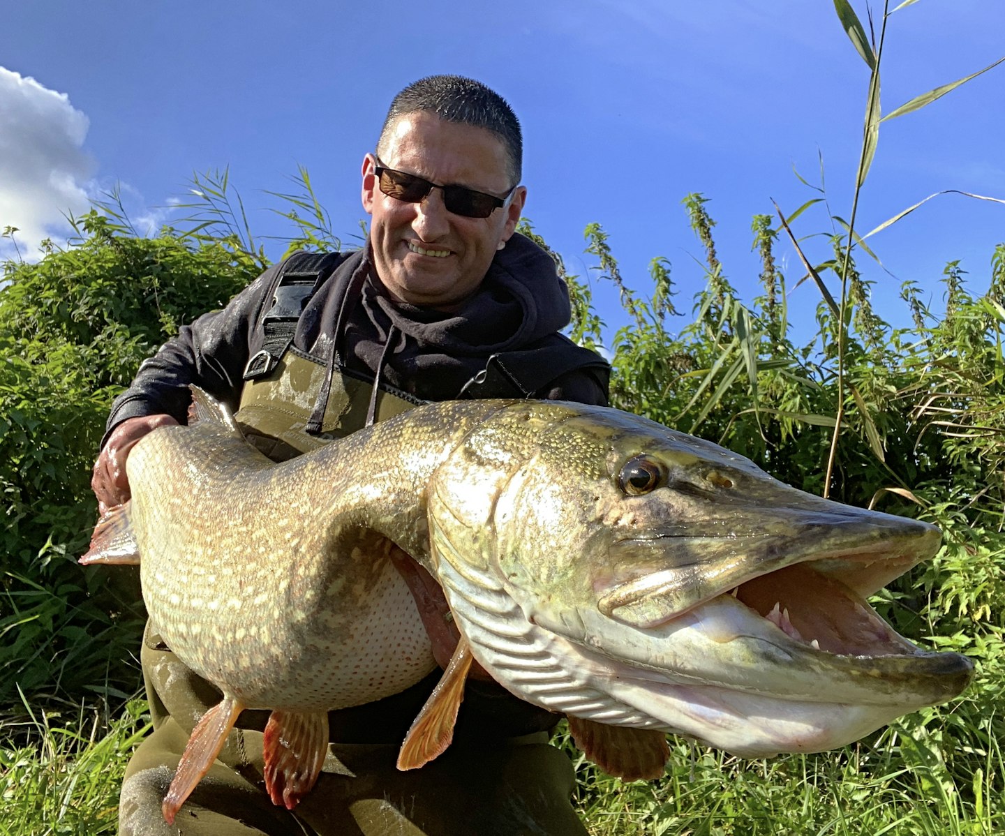 A great shot of an amazing fish