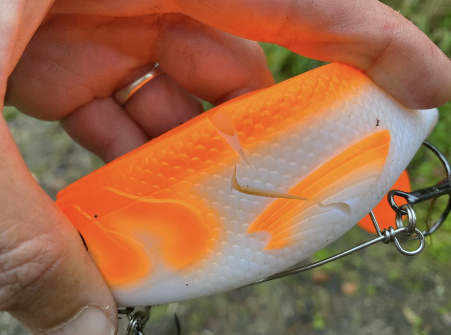 The lure the giant pike hit