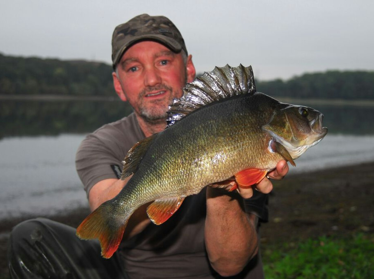 Lee McManus - 4lb 8oz perch