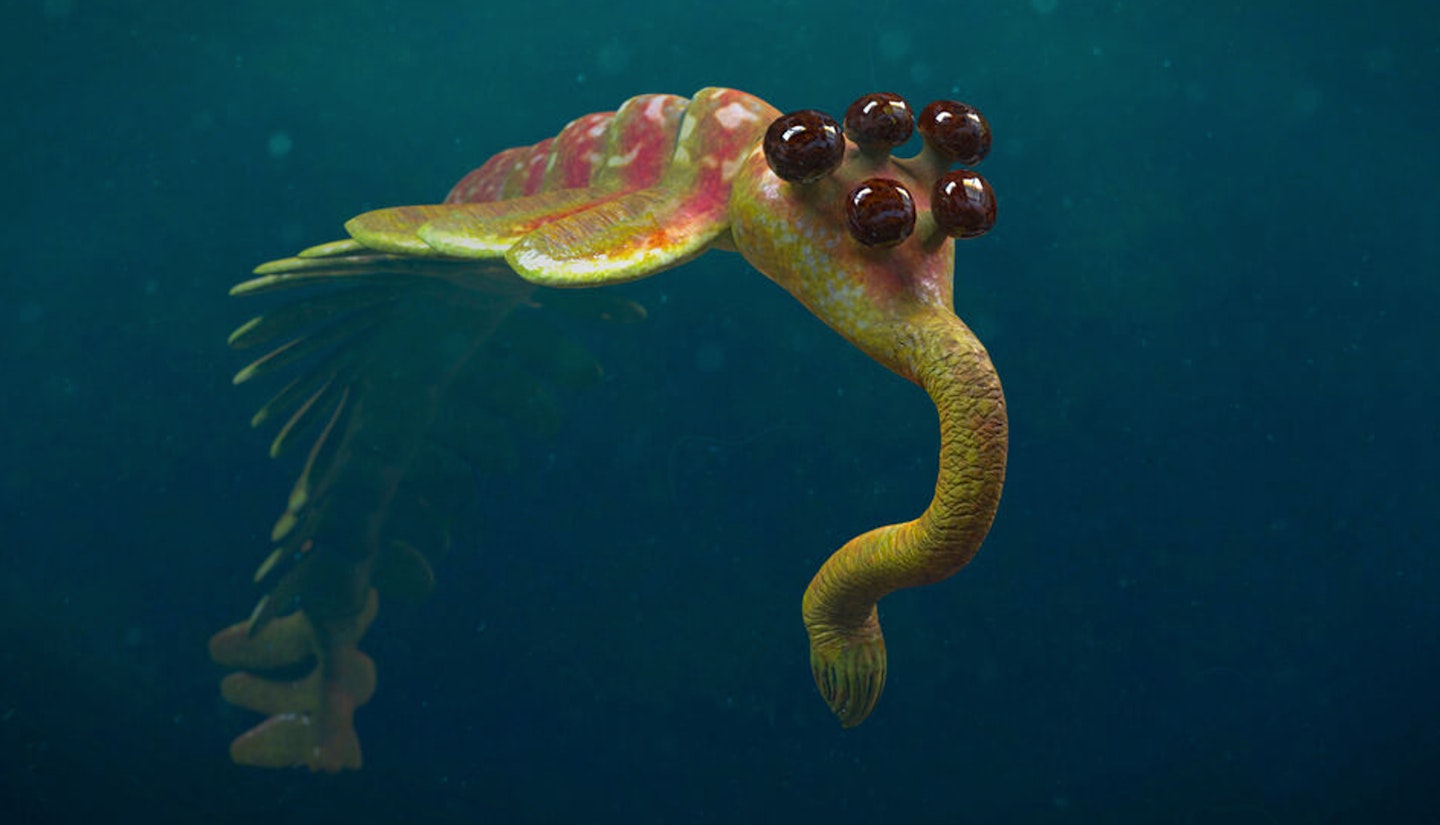 530 million BC
