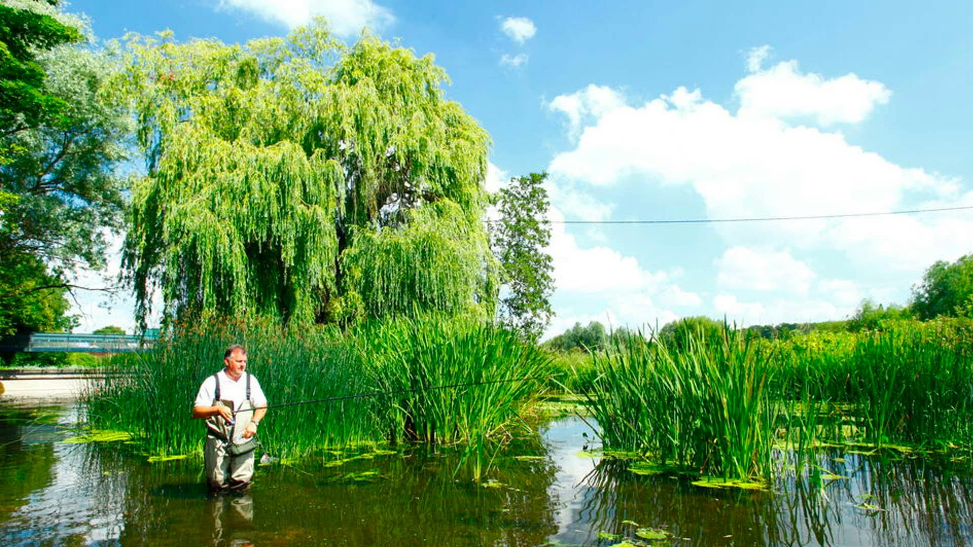 Rivers set to benefit from ‘Woodland for water’ project