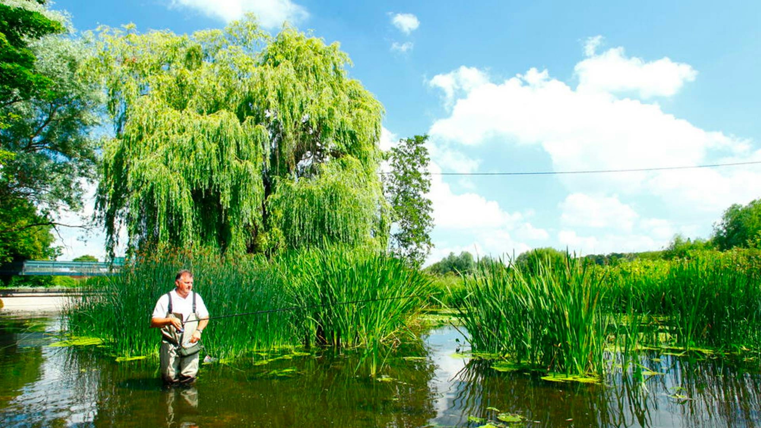 Rivers set to benefit from ‘Woodland for water’ project
