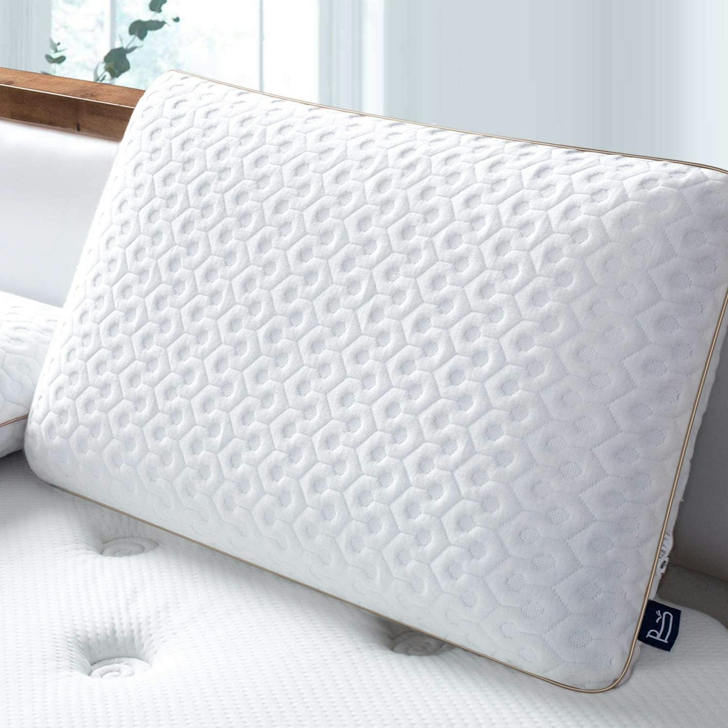 BedStory Memory Foam Pillow