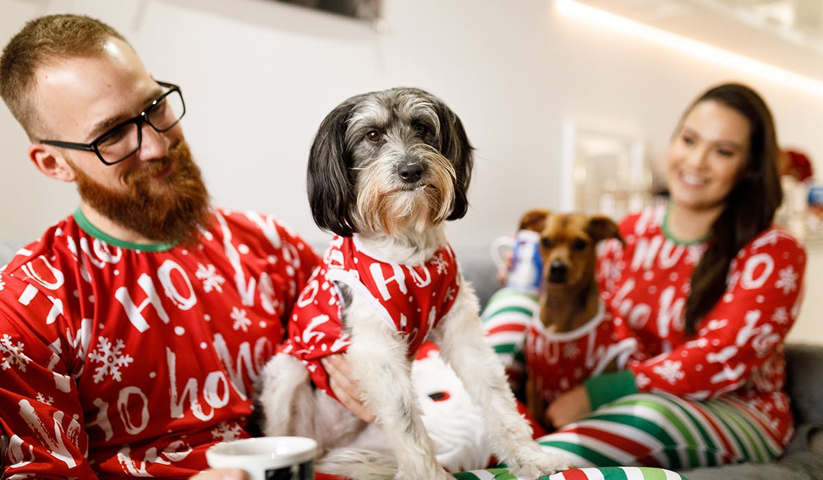 Matching christmas pyjamas dog hot sale