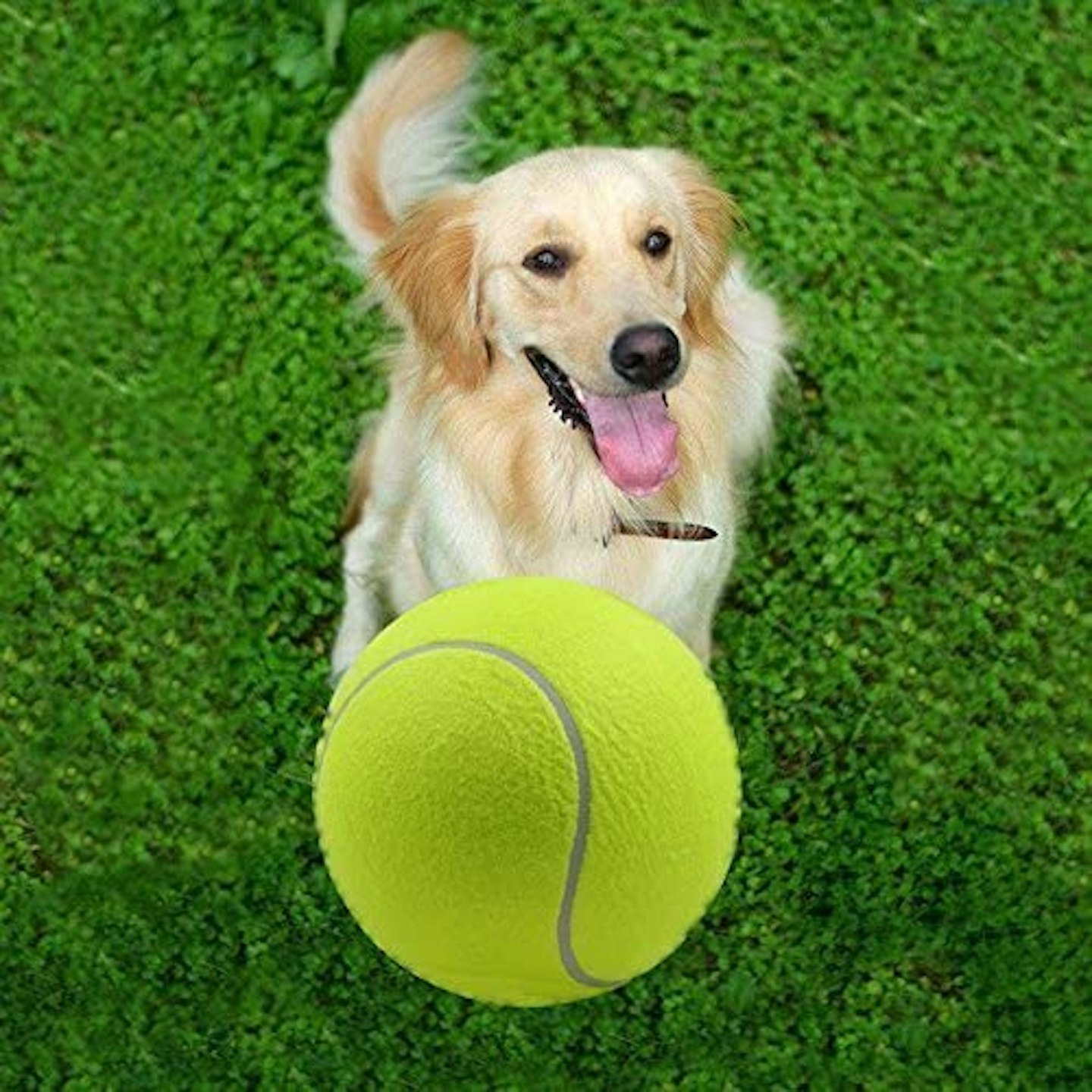 Alxcio Pet Dog Toy Tennis Ball