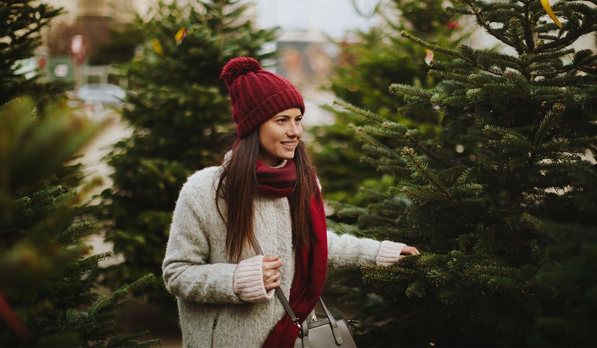 How to keep a Christmas tree alive for longer