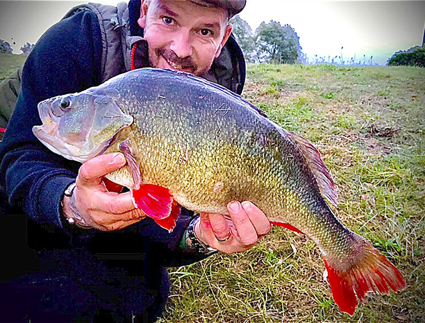 Matt Atkins – 5lb 4oz perch