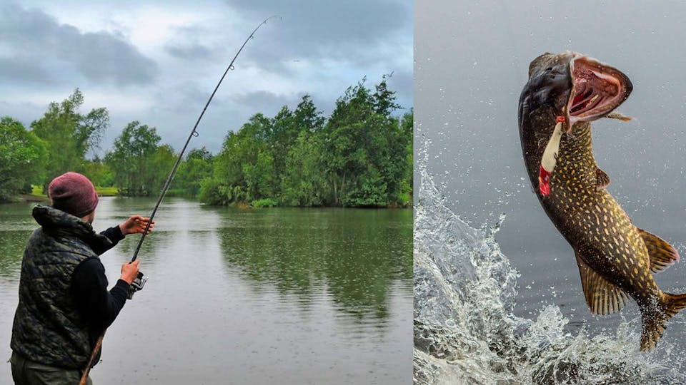 Why do some coarse fish fight harder than others? | Angling Times