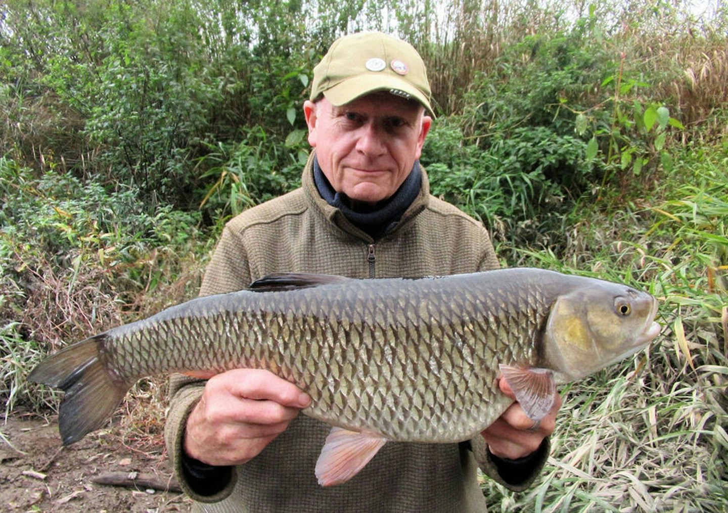Roger Carswell – 7lb 8oz chub