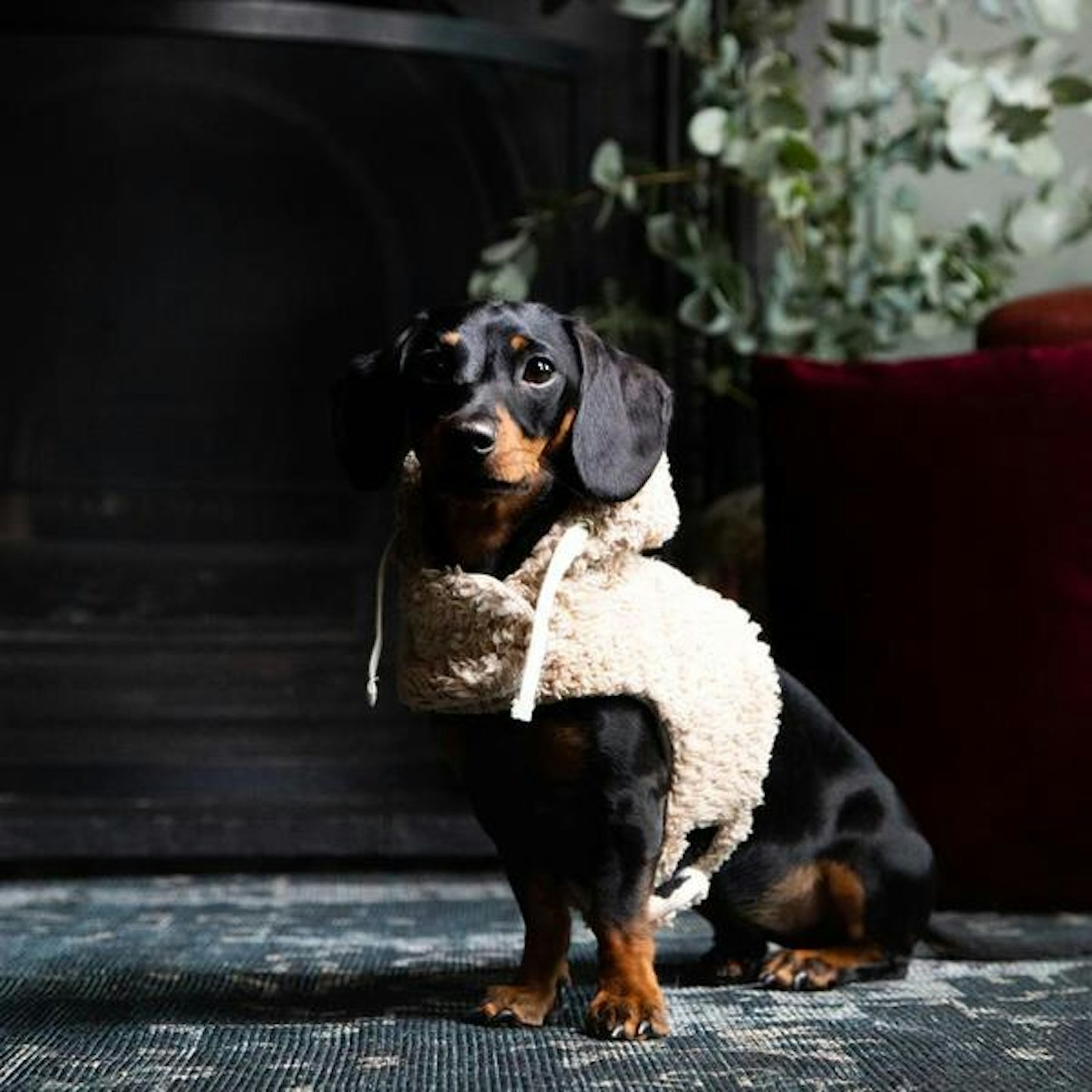 Doggy Squad, The Furry Couture Portobello Harness, £90